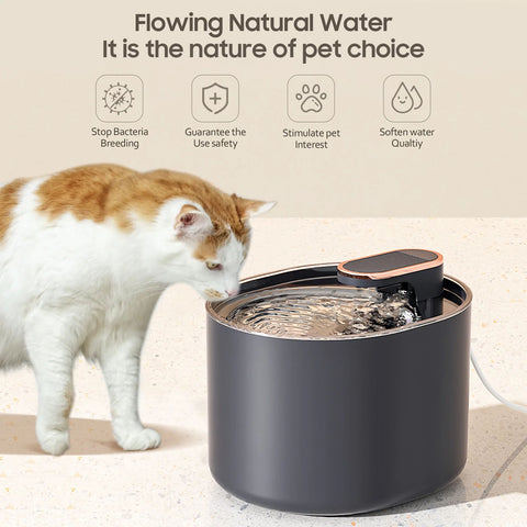 Best Cat Pet Water Fountains - 3L Silent Automatic Water Dispenser, Easy to Clean Water Fountain with Filter for Cats ,Puppy. pet Supplies.