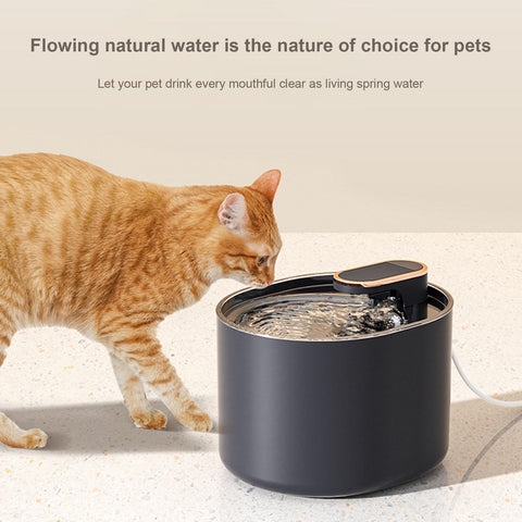 Best Cat Pet Water Fountains - 3L Silent Automatic Water Dispenser, Easy to Clean Water Fountain with Filter for Cats ,Puppy. pet Supplies.