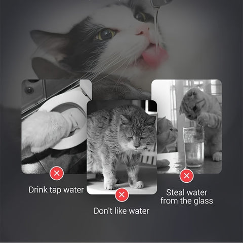 1.8L Smart Pet Water Fountain with Motion Sensor - USB Powered, Ultra-Quiet Automatic Cat & Dog Hydration Station, Transparent Design for Indoor Pets