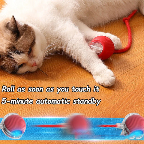 Smart Interactive Cat Ball Toy - USB Rechargeable, 360° Self-Rolling, Durable & Bite-Resistant - Burns Energy, Keeps Cats Happy & Prevents Nighttime Mischief - Perfect Gift for Your Furry Friends