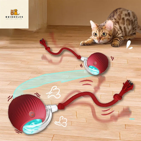 Smart Interactive Cat Ball Toy - USB Rechargeable, 360° Self-Rolling, Durable & Bite-Resistant - Burns Energy, Keeps Cats Happy & Prevents Nighttime Mischief - Perfect Gift for Your Furry Friends